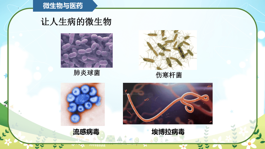 教科版（2017秋）小学科学六年级上册 1.7微生物与健康（课件 共17张PPT）