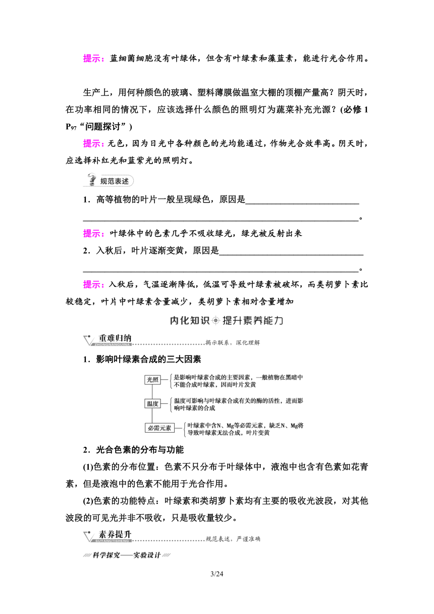 【备考2024】生物高考一轮复习学案：第9讲 光合作用与能量转化(Ⅰ)(含答案）