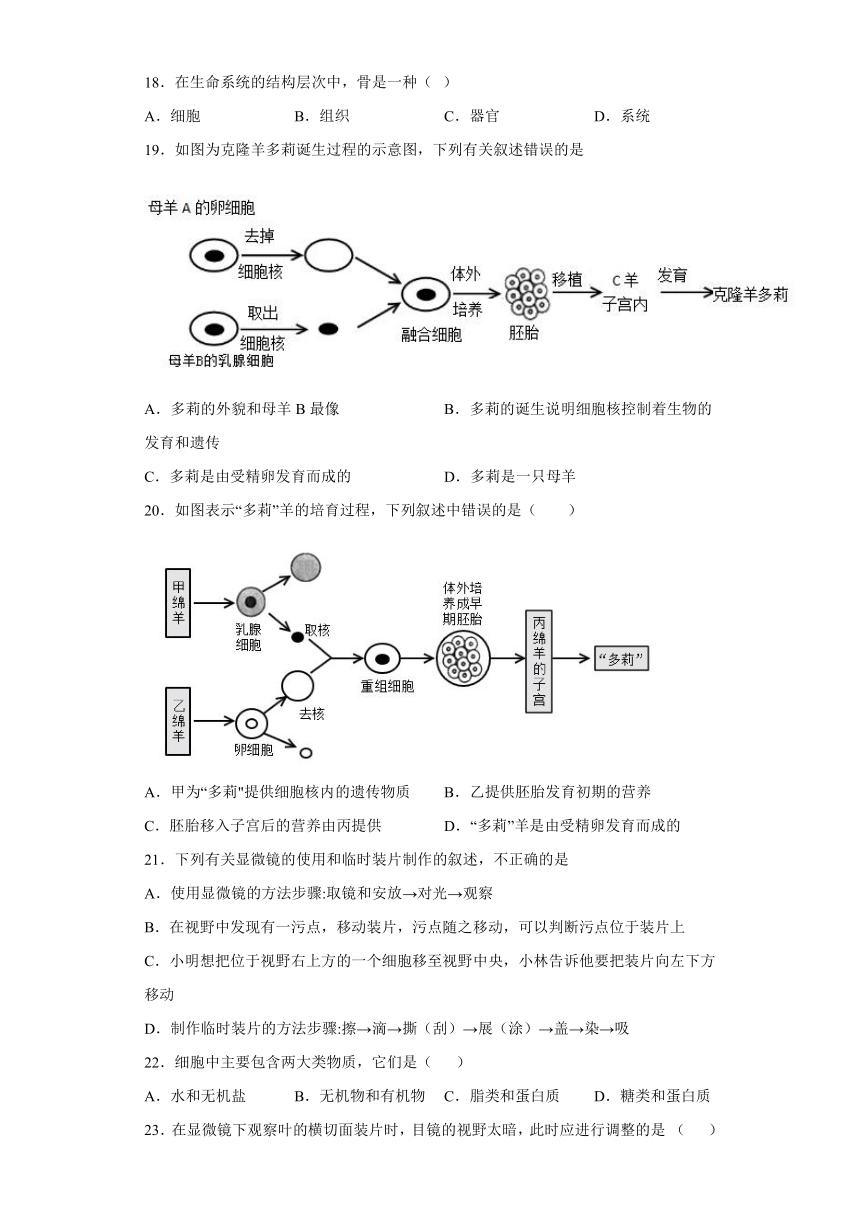 人教版生物七年级上册第二单元  生物体的结构层次  测试题（word版 有答案）