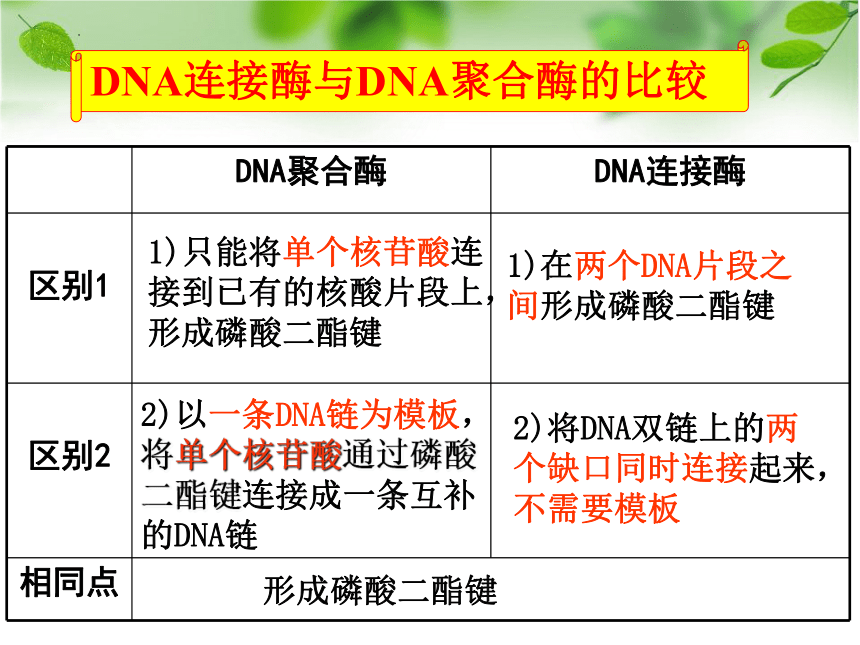 基因工程及其技术（第3课时）(共27张PPT)-高二生物选择性必修3课件（苏教版）