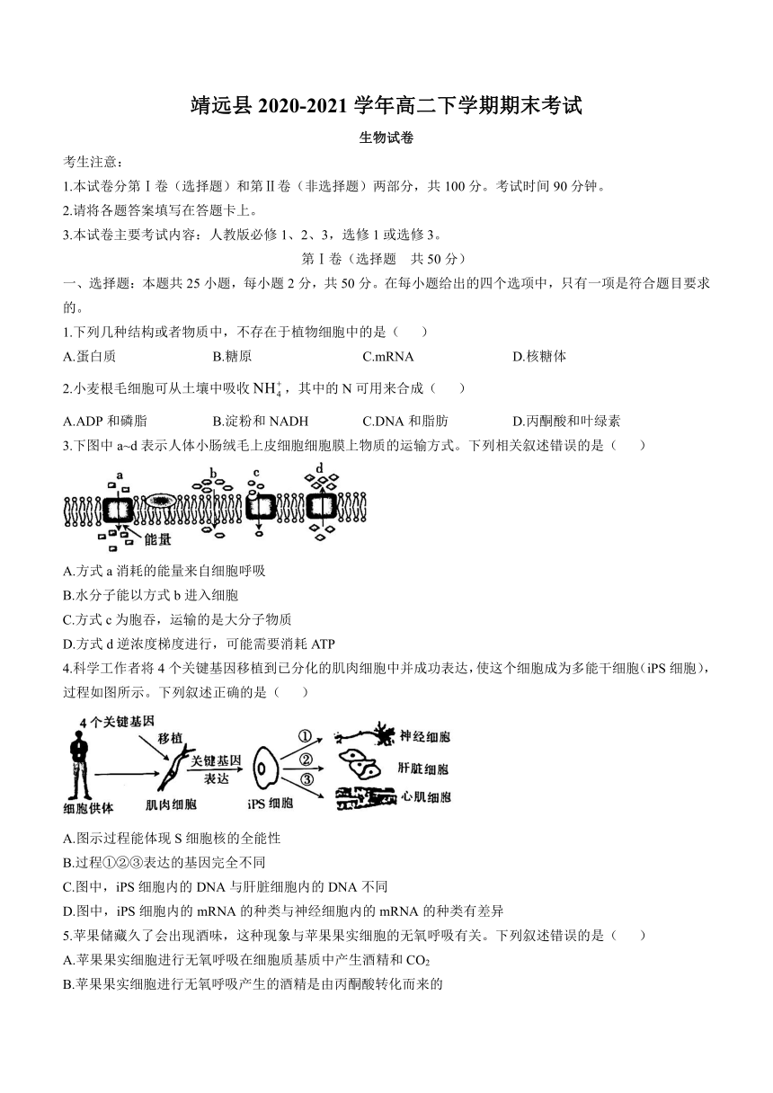 甘肃省靖远县2020-2021学年高二下学期期末考试生物试题     含答案