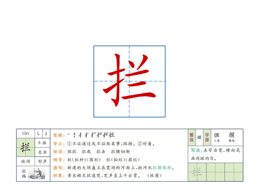 16 表里的生物 课件（共32张PPT）