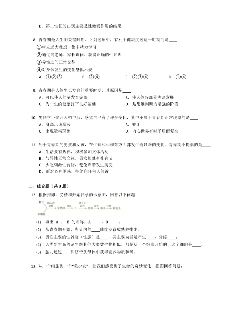 人教版七下4.1.3青春期练习（含答案）