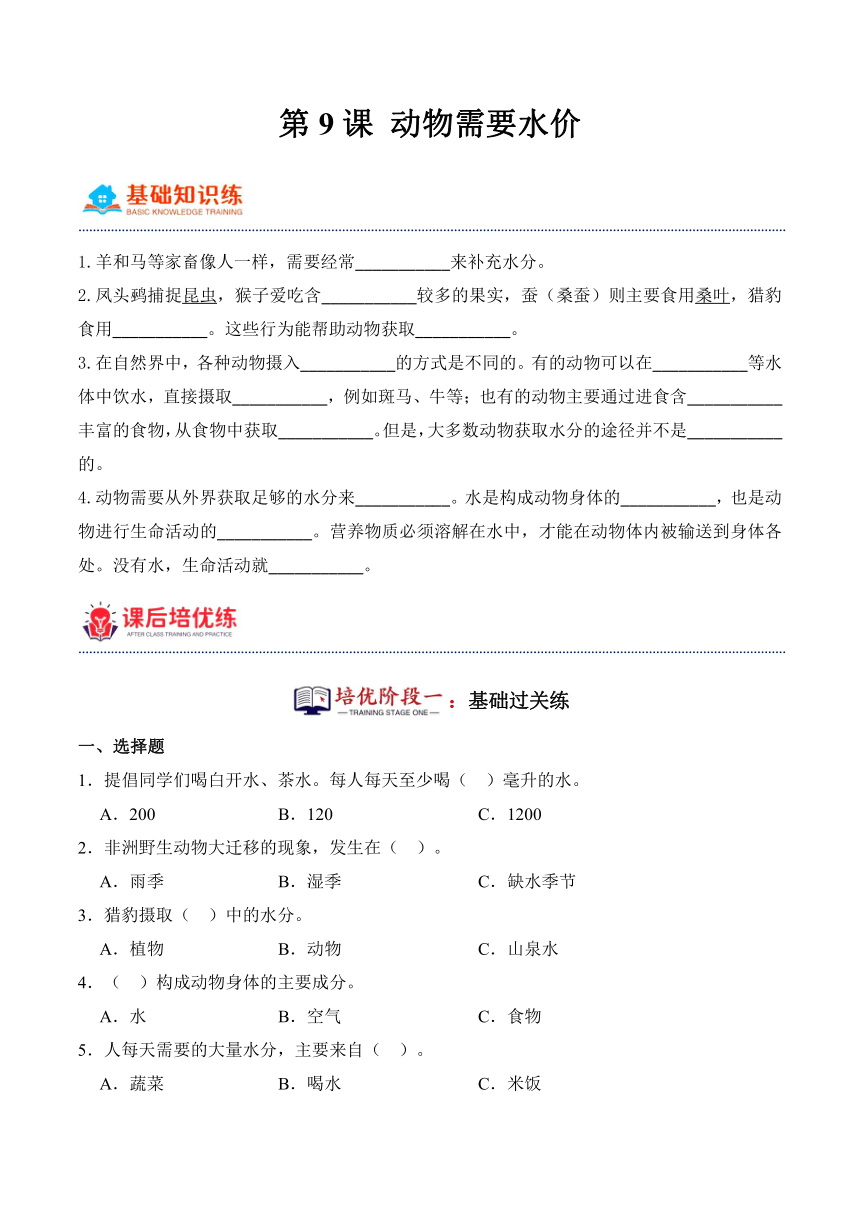 2023-2024学年科学四年级下册（粤教粤科版）第9课动物需要水价（同步阶段练习）（含解析）