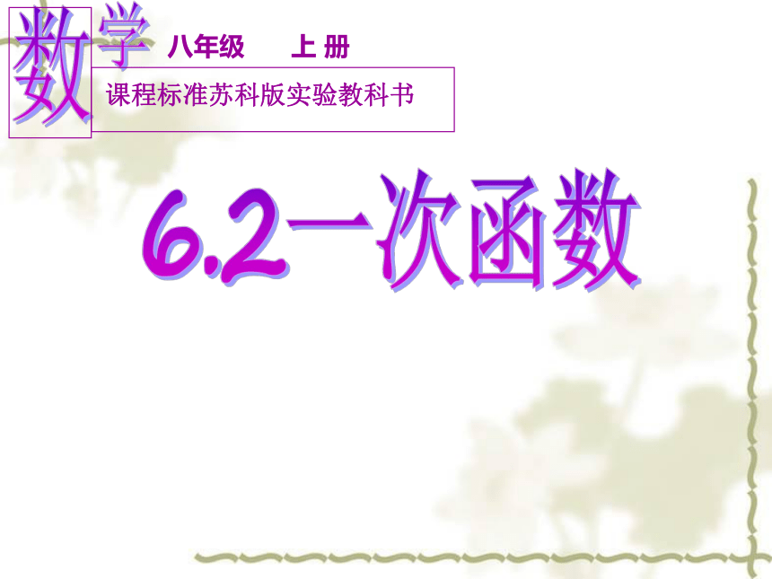 苏科版八年级数学上册 6.2 一次函数(共19张PPT)