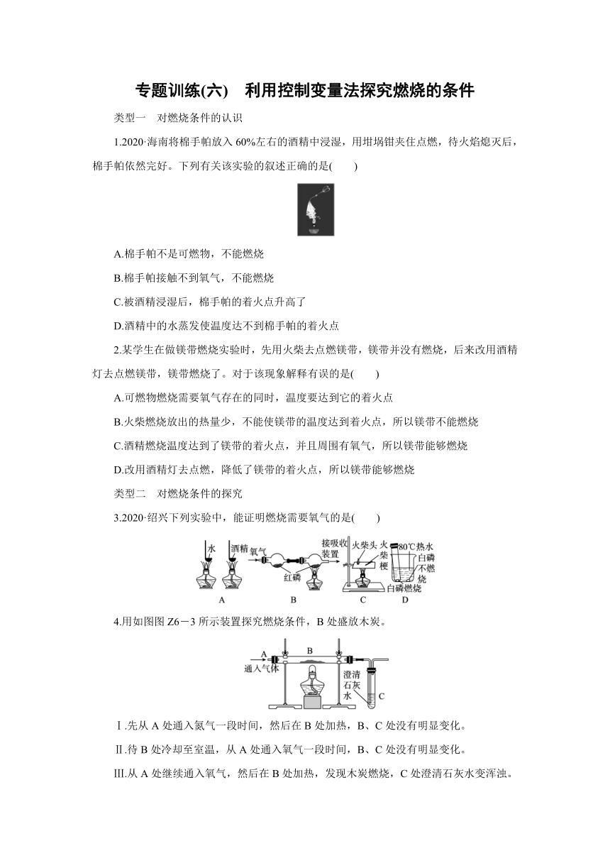 粤教版化学九年级上册阶段专题训练(六)　利用控制变量法探究燃烧的条件（word版 含答案）