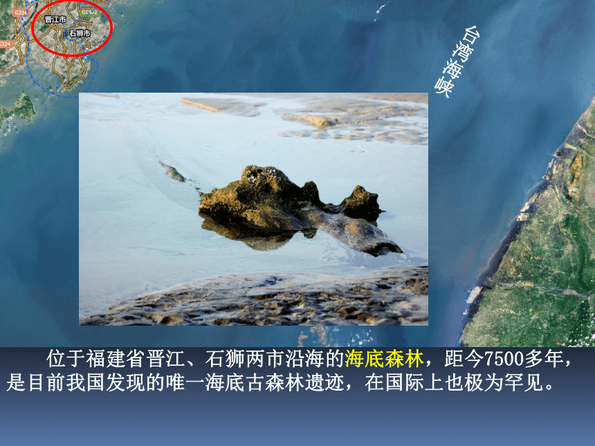 中图版（北京）八年级上册地理 1.2海洋和陆地的变迁 课件(共25张PPT内嵌视频)