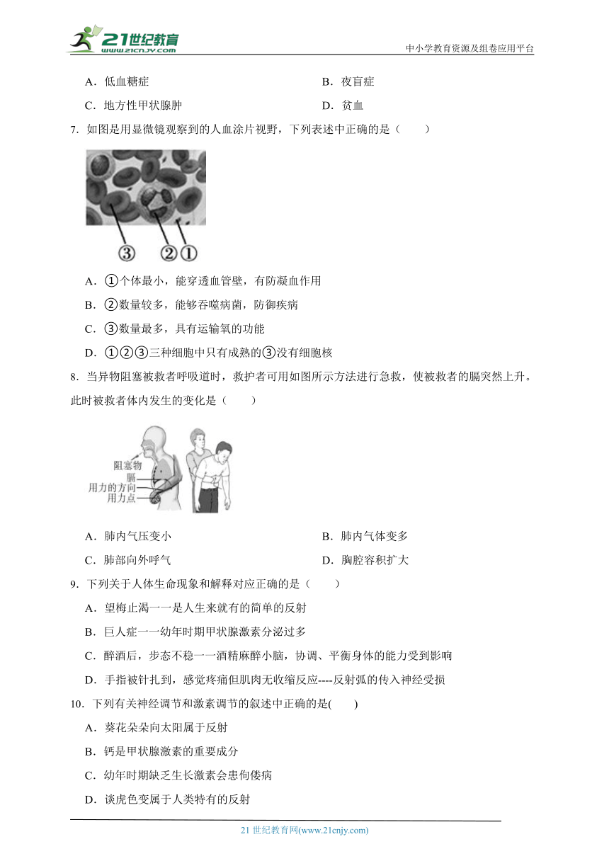 济南版生物2023年七下期末检测题（含解析）