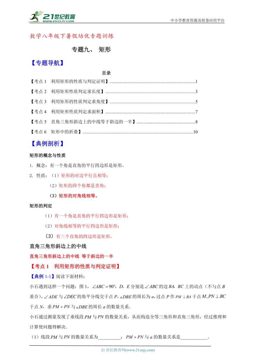 数学八年级下暑假培优专题训练9（含解析）