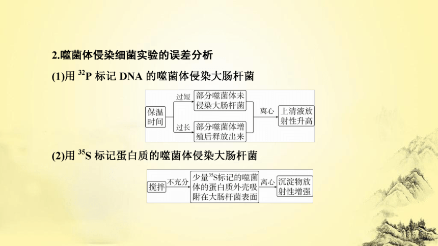 新人教生物二轮复习课件7 遗传的分子基础(课件共72张PPT)