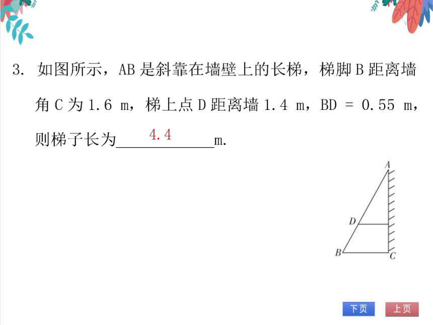 【北师大版】数学九年级（上）4.6 利用相似三角形测高 习题课件