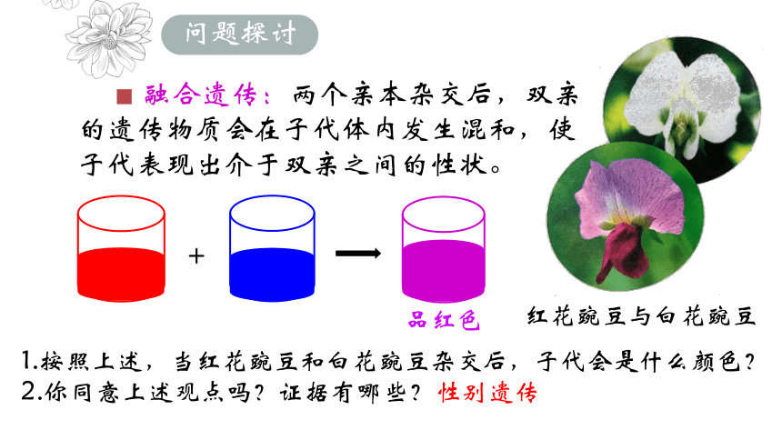 1.1 孟德尔的豌豆杂交实验（一）课件-人教版2019必修2(共67张PPT)