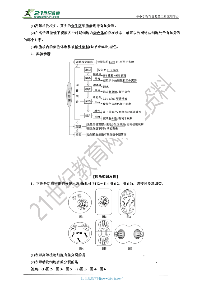 【学案】   第6章　第1节　第2课时　动物细胞的有丝分裂与观察根尖分生区组织细胞的有丝分裂 人教版（2019）生物学 必修1