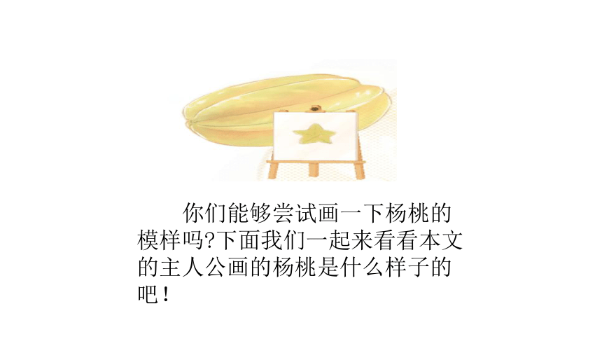 13 画杨桃    课件(共46张PPT)