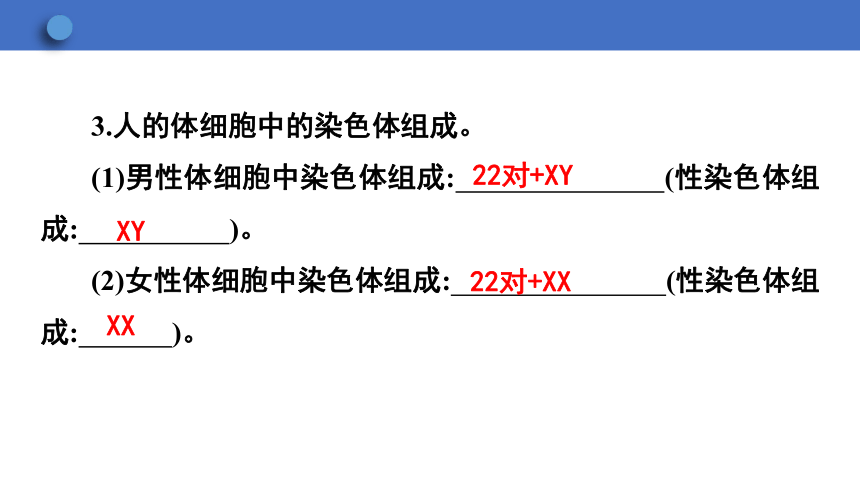 6.2.1 遗传 第3课时课件(共23张PPT)2023-2024学年初中生物冀少版八年级下册