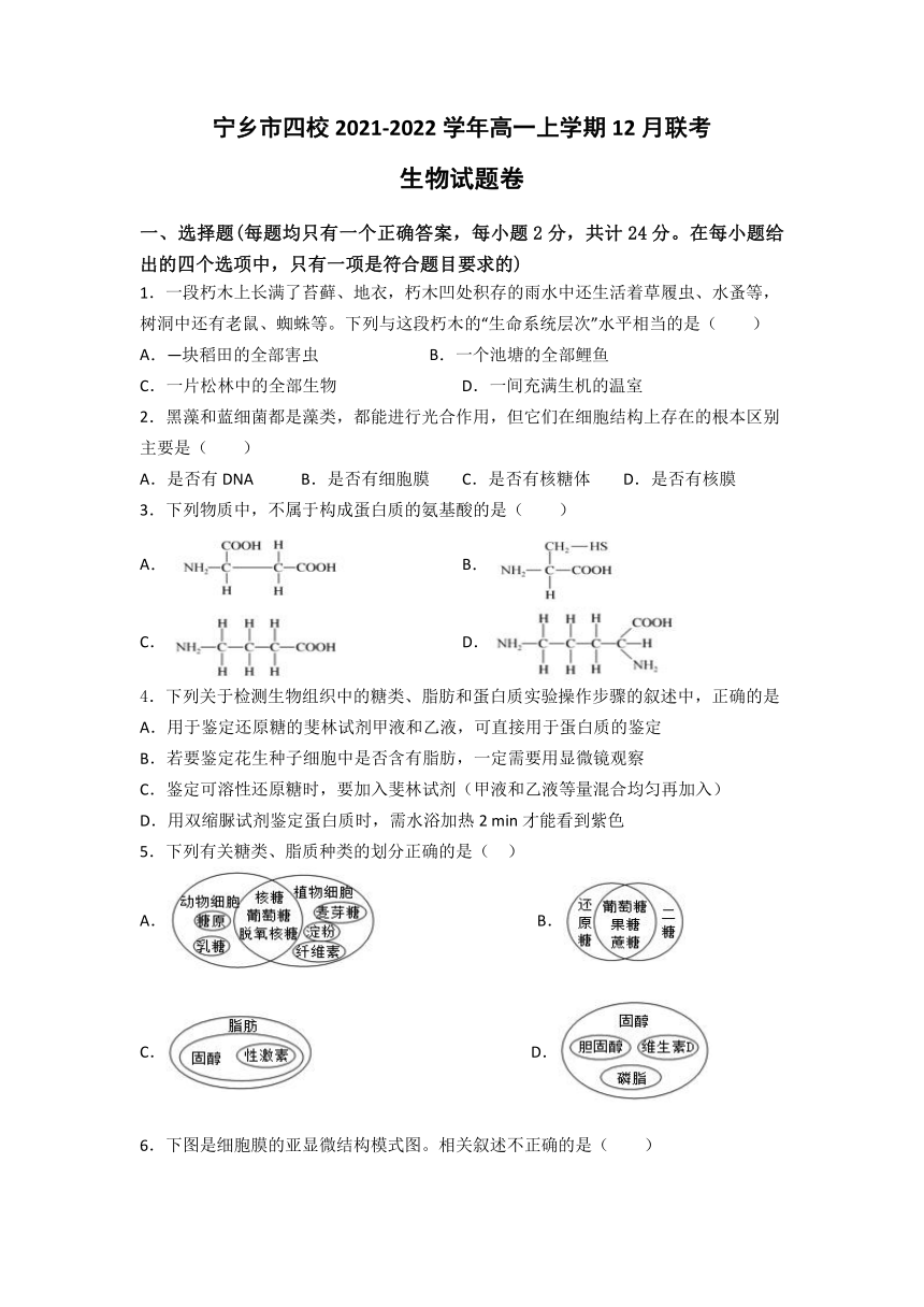 湖南省宁乡市四校2021-2022学年高一上学期12月联考生物试题（Word版含答案）