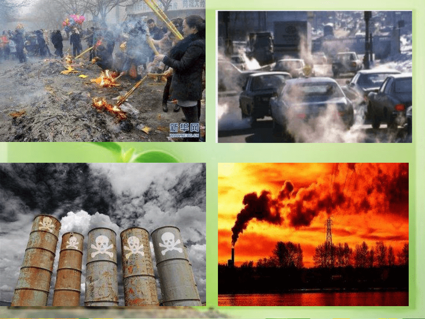 第四单元第七章 第2节 探究环境污染对生物的影响 课件（共33张PPT）