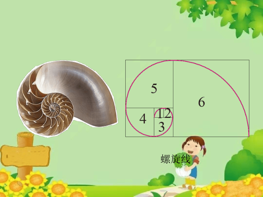 北师大版数学六年级上册 第一单元 圆-欣赏与设计课件(共145张PPT)