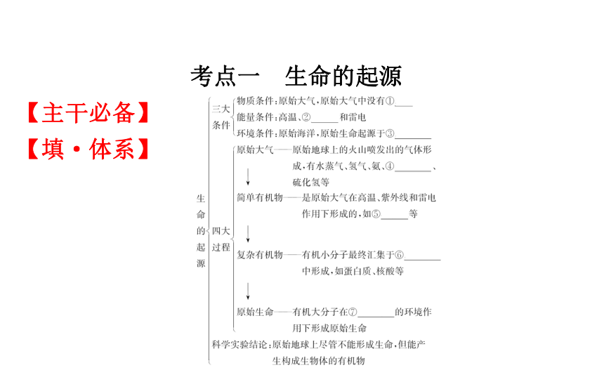 2021-2022学年人教版生物中考复习之生命起源和生物进化课件（46张PPT）