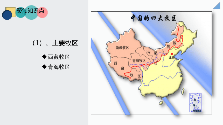 八下知识点课件 166 高寒牧区和河谷农业区-青藏地区