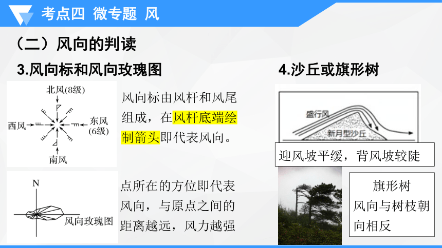 专题三  大气运动规律   微专题  风课件(共39张PPT)