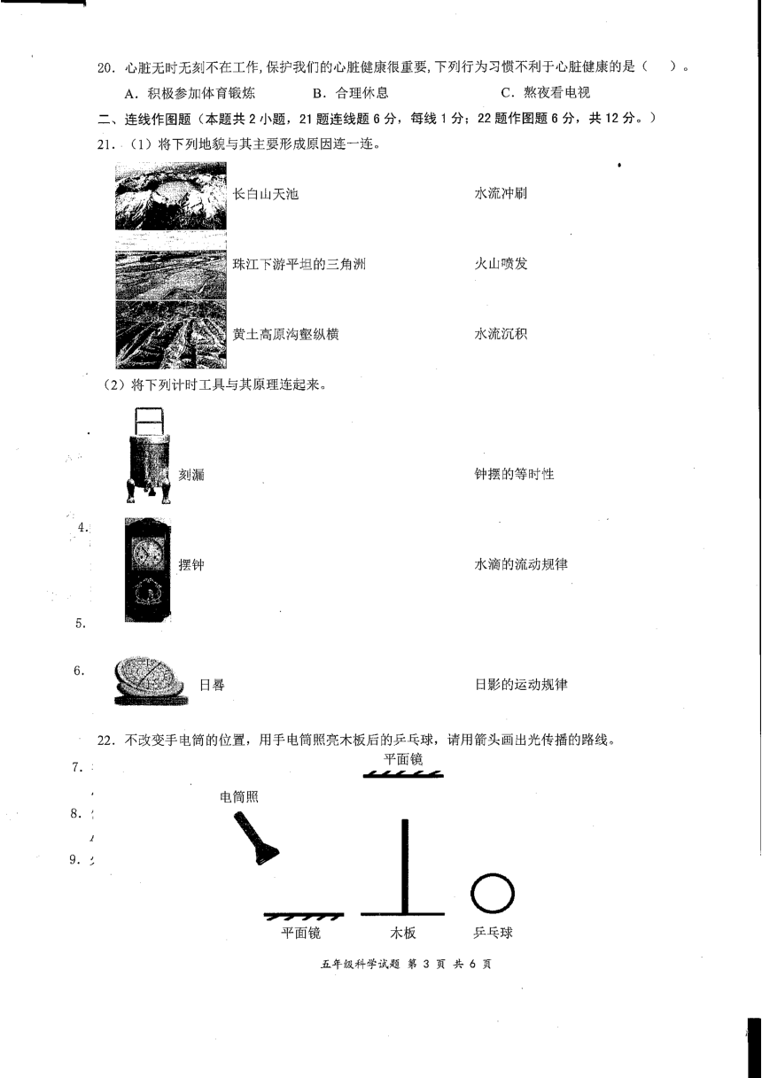 广东省深圳市罗湖区2022-2023学年五年级上学期期末科学试卷（图片版 无答案）