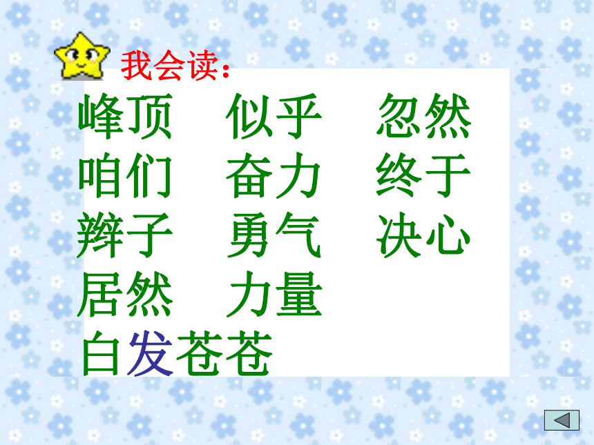 17爬天都峰  课件(共39张PPT)