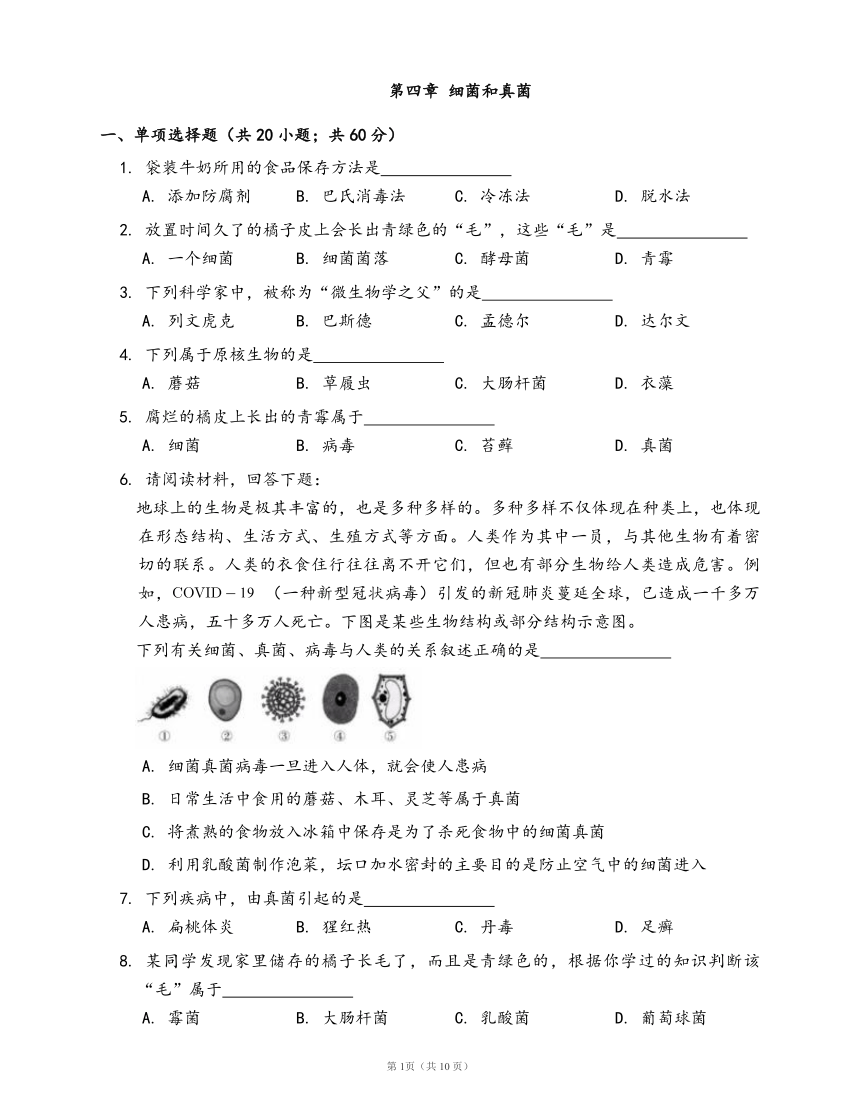 人教版八年级生物上册第五单元第四章 细菌和真菌练习（word版，含部分答案解析）