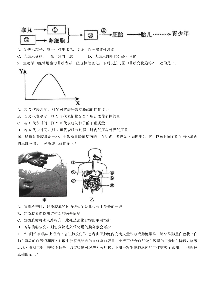 2024年山东省临沂市郯城县初中学业水平考试一模生物试题 （word版 含答案）