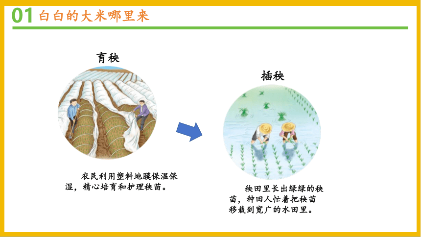 道德与法治统编版四年级下册3.7《 我们的衣食之源》课件（共31张PPT）