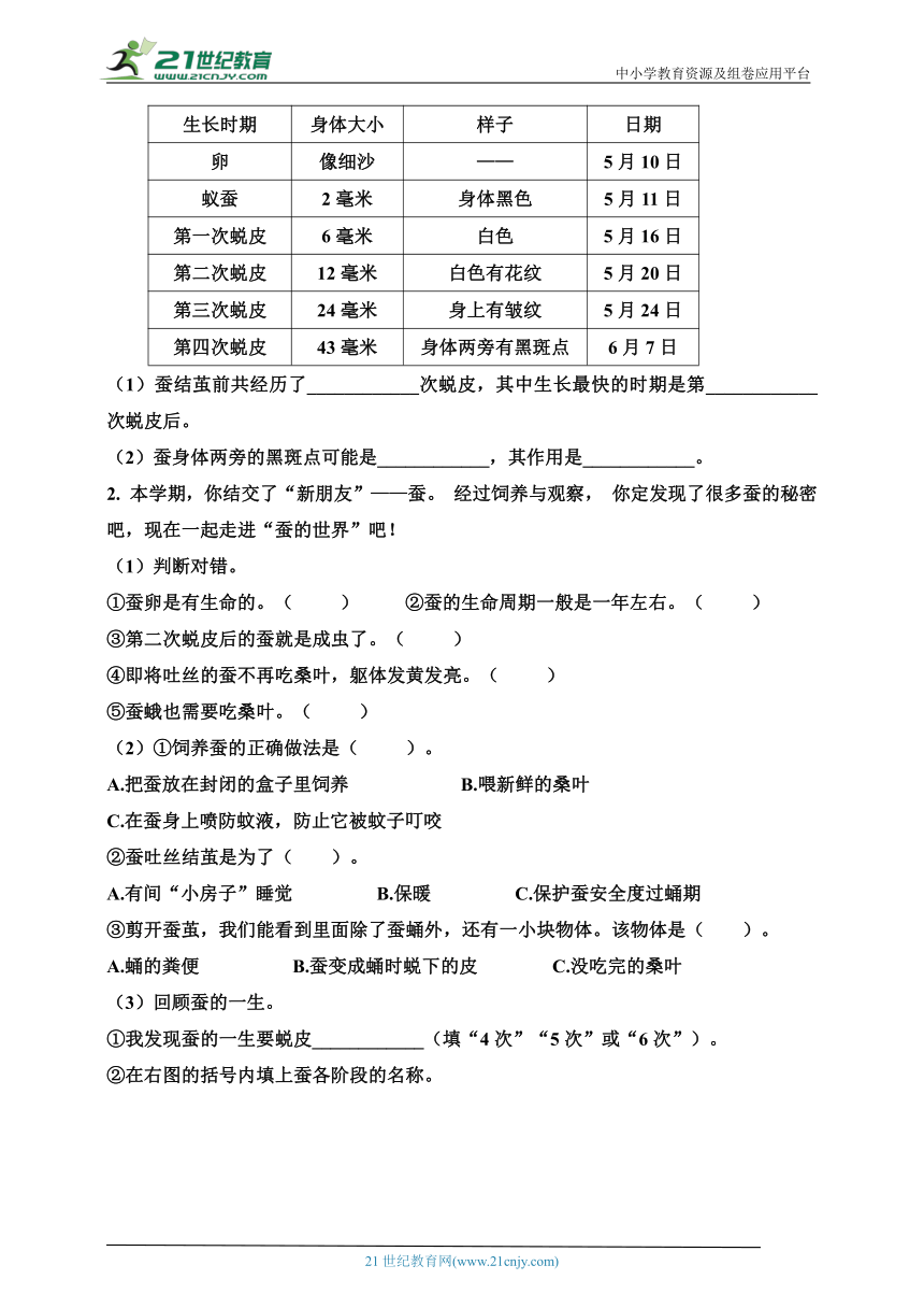 教科版三年级科学下册《动物的一生》单元特训（二）含答案