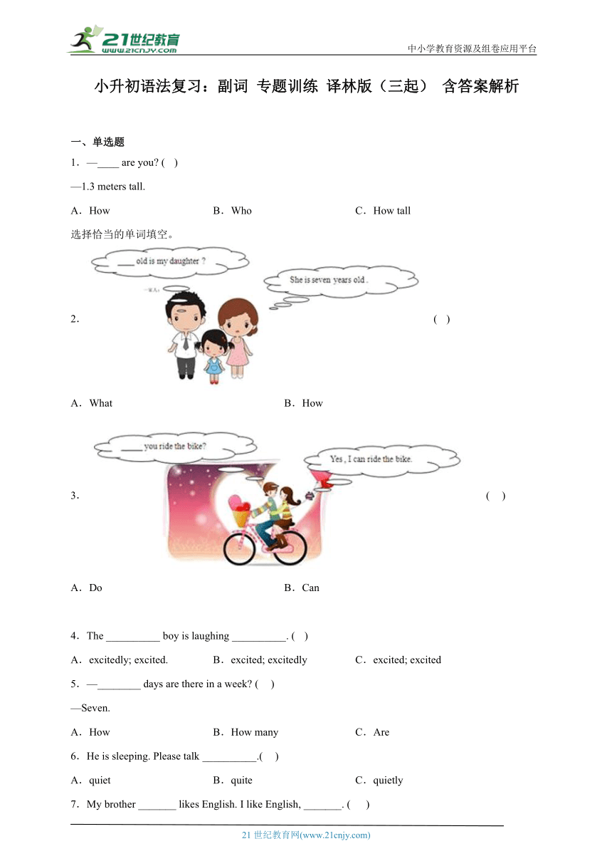 小升初语法复习：副词 专题训练 译林版（三起） 含答案解析