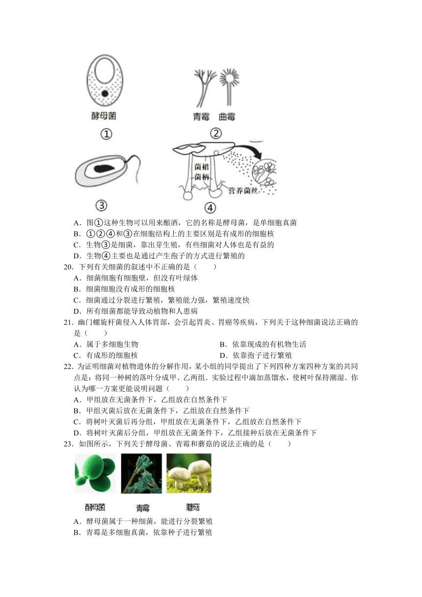 2022-2023学年浙教版科学七年级下册1.6细菌和真菌的繁殖 同步练习（含解析）