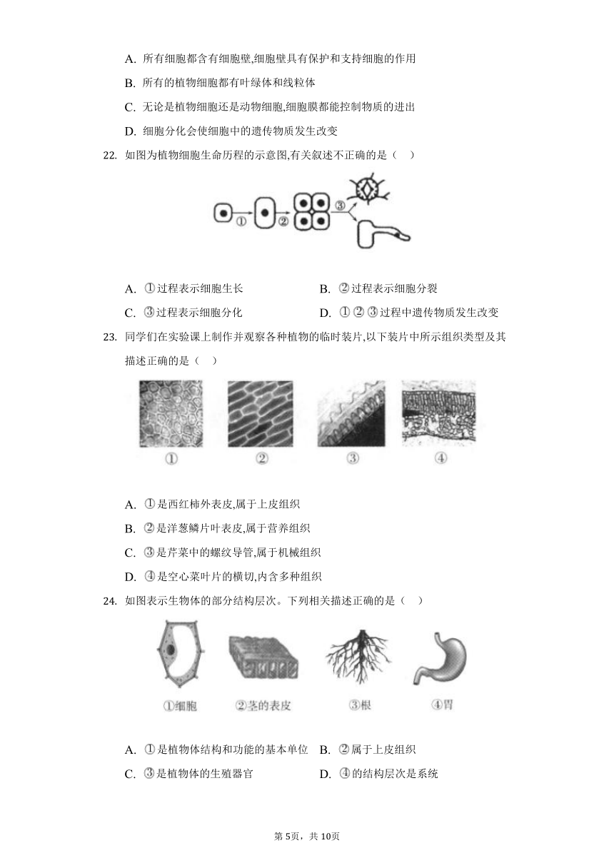 2022-2023学年人教版生物七年级上册单元强化练习第二单元生物体的结构层次(word版含答案）