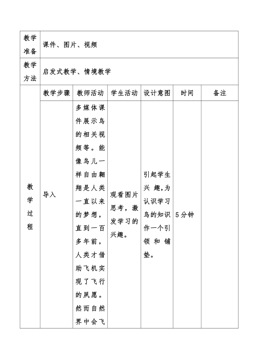 5.1.6  鸟  教案（表格式）2022-2023学年人教版生物八年级上册