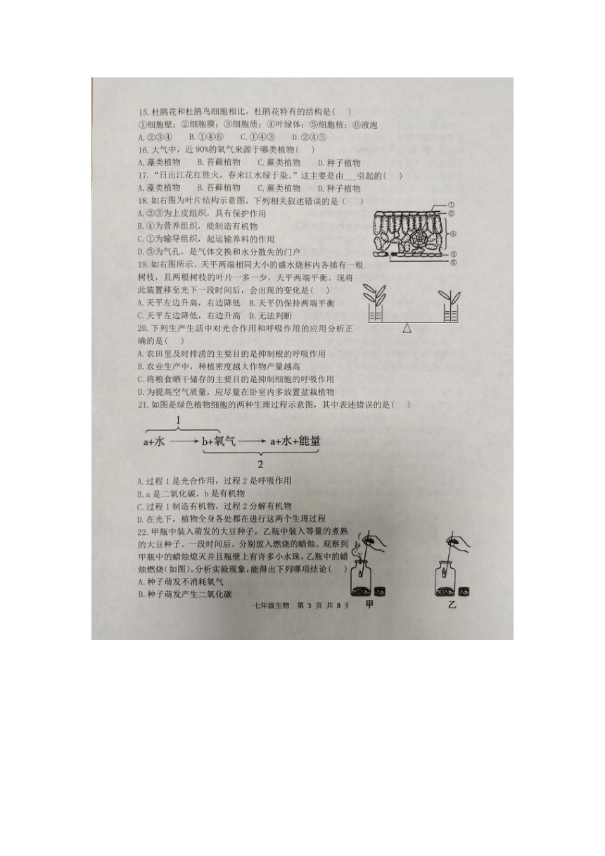 山东省滨州市阳信县2022-2023学年第一学期期中质量检测七年级生物试题（图片版含答案）