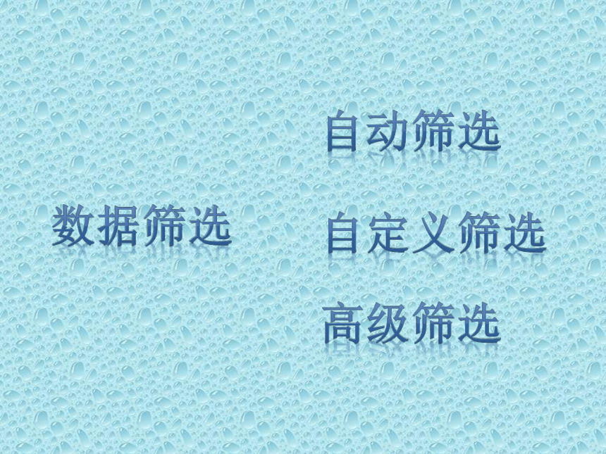 冀教版七年级全册信息技术 14.数据筛选 课件（14ppt）