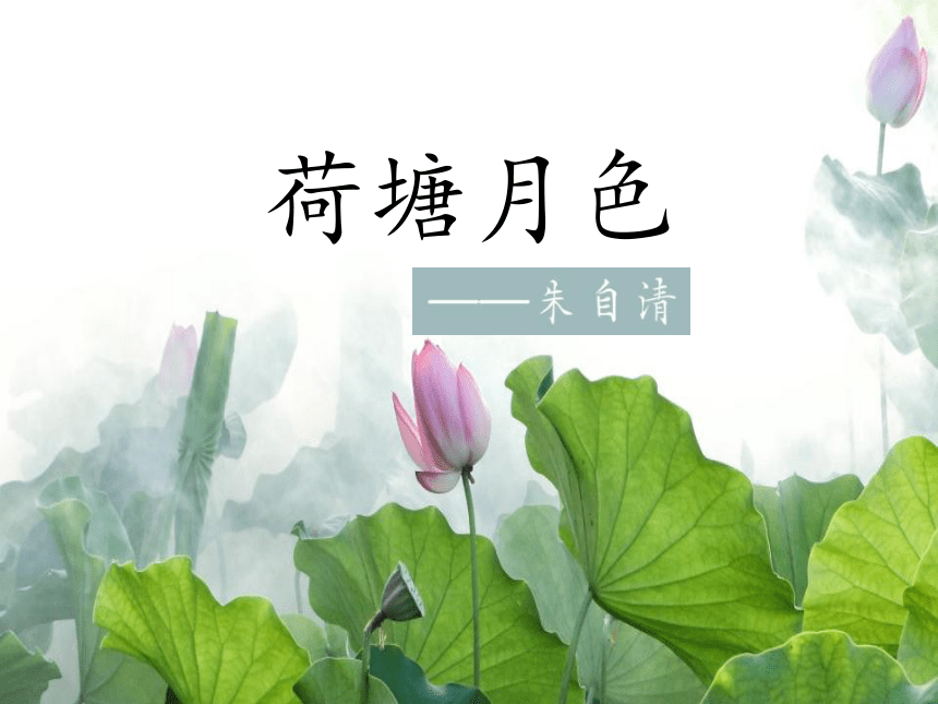 14.2《荷塘月色》课件(共35张PPT)+2022-2023学年统编版高中语文必修上册