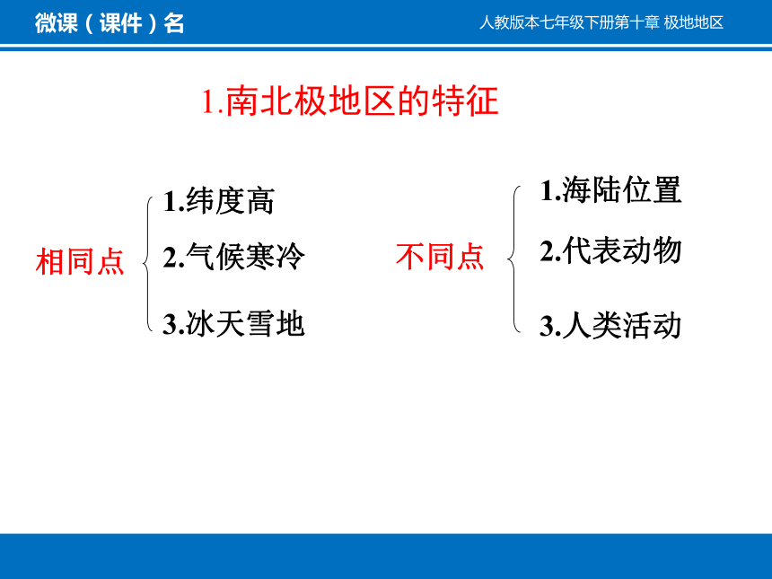 第十章 极地地区课件(共29张PPT)人教版七年级地理下册