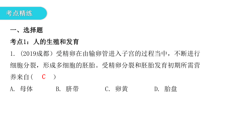 北师大版生物学八年级上册第19章生物的生殖和发育 章末总结 课件（共24张PPT）