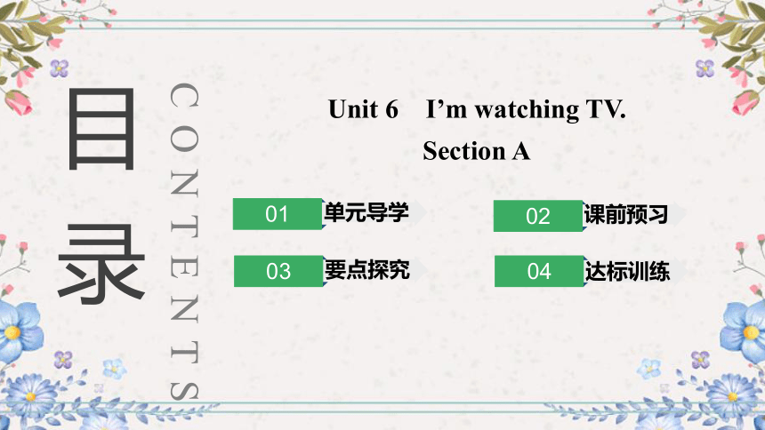 Unit 6 I'm watching TV.Section A 习题课件 2023-2024学年人教版英语七年级下册 (共30张PPT)