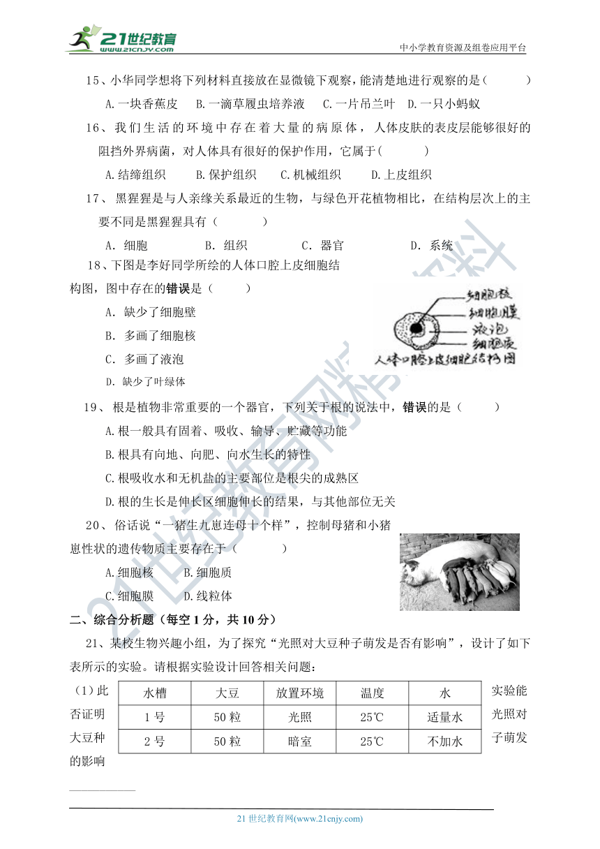 苏科版生物七上期中考试试卷(含答案)+答题卡