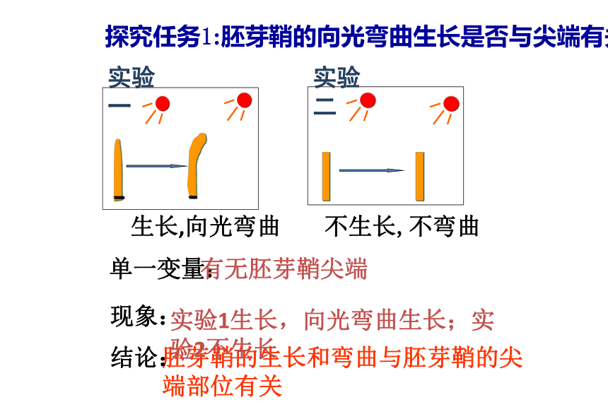 2021——2022学年高二上学期生物人教版必修三3.1植物生长素的发现课件(共31张PPT)