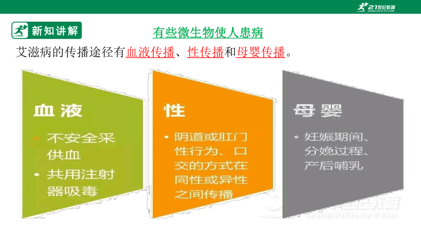 北师大版5.18.2 微生物与人类的关系-2022-2023学年八年级生物上册同步课件(共36张PPT)