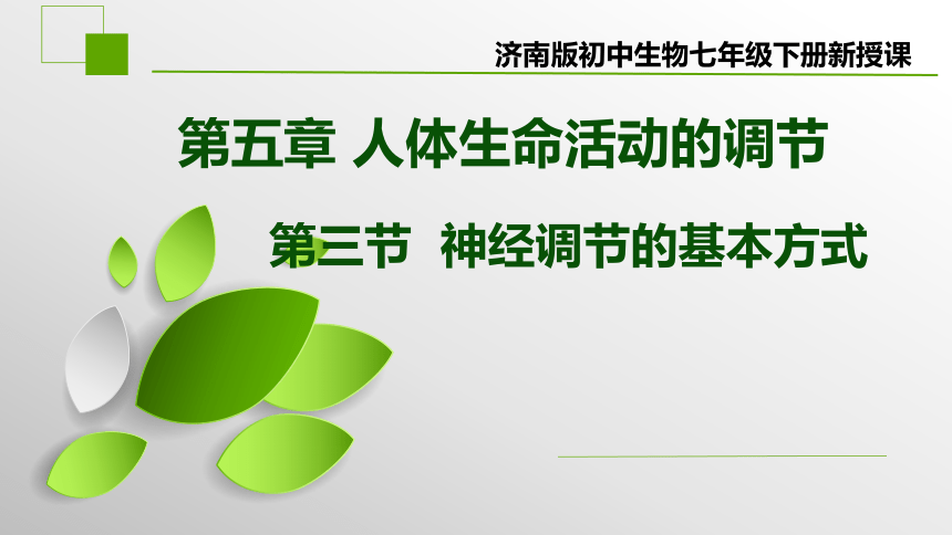 3.5.3神经调节的基本方式课件(共28张PPT+内嵌视频1个)2022-2023学年济南版生物七年级下册