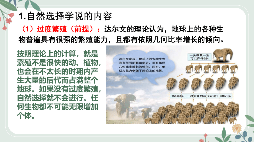 16.3 生物进化的学说课件(共23张PPT+内嵌视频1个)2022-2023学年苏教版八年级生物上册