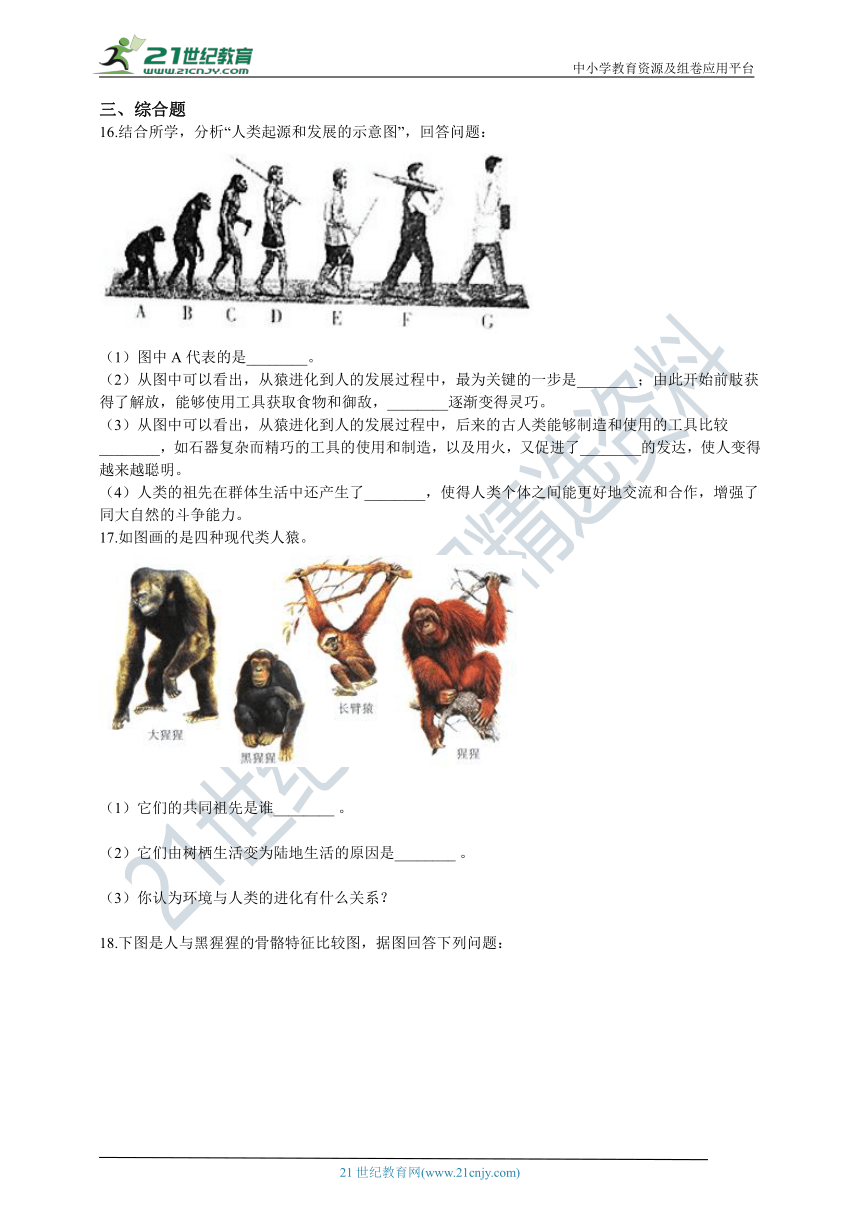 人教版2021初中生物七年级下册4.1.1人类的起源和发展同步练习（含解析）