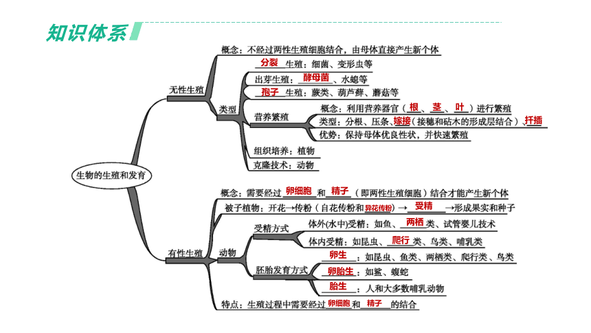 2022年浙江省中考科学一轮复习 第09课时　生物的生殖和发育（课件 37张PPT）