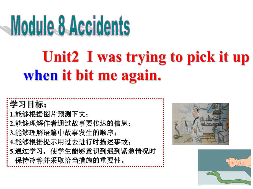 八年级上册 Module 8 Accidents Unit 2 I was trying to pick it up when it bite me again.课件(共19张PPT)