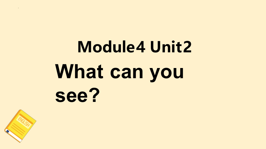 Module 4 Unit 2 What can you see？课件(共20张PPT)